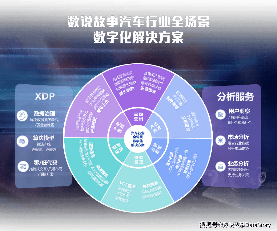 行业洞见什么意思